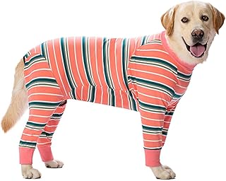 大型犬服 ラッシュガード タイトロンパース 【専用】 人気提案 www